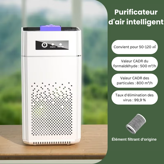 Purificateur d'Air à Ions Négatifs avec Générateur d'Odeurs de Fumée - avec Filtre HEPA Remplaçable